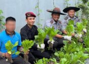 Rutan Takengon Gelar Panen Raya, Hasilkan Berbagai Jenis Sayuran Segar