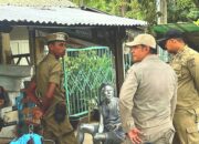 Di Aceh Manusia Silver Ditangkap Satpol PP dan WH.
