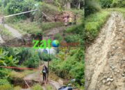 Kurangnya Perhatian Pemeritah, Desa Transmigrasi Yang Tertinggal Akses Jalan Rusak Parah