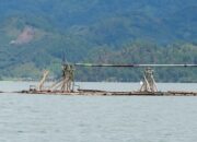 Dua Poin Tuntutan Pemilik Cangkul Untuk Pemerintah Aceh Tengah