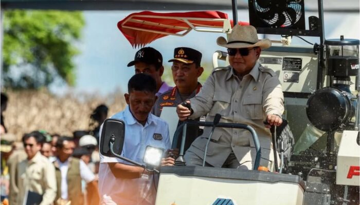 Presiden Prabowo Subianto melakukan Panen Raya Jagung Serentak