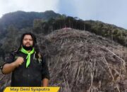 MAHAGAPA: Penegak Hukum Harus Bertindak Tegas Terhadap Perambah Hutan Lindung