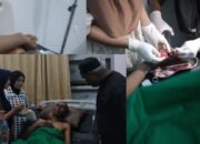 BREAKING NEWS: Seorang Kakek Berusia 55 Tahun, Warga Kuala Berawah Diserang Gajah Liar di Rusip Antara
