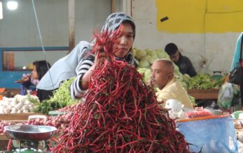 Harga Cabai Merah Besar di Aceh Tengah Tembus Rp 80.000 per Kilogram