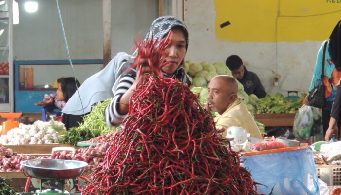 Harga Cabai Merah Besar di Aceh Tengah Tembus Rp 80.000 per Kilogram