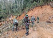 Proses Pengerjaan Terus Dilakukan, TMMD Ke 126, Membersihkan Pepohonan dari Jalur Penyiapan Jalan