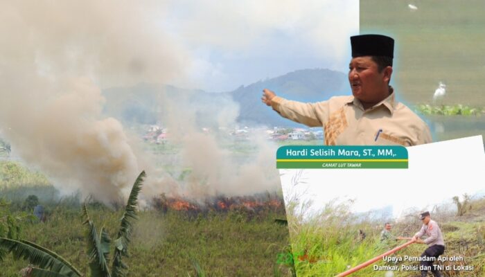 Lahan Gambut di Aceh Tengah Terbakar, Habitat Satwa Liar dan Ekosistem Danau Lut Tawar Terancam