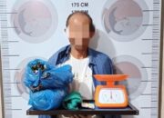 Polres Bener Meriah Tangkap Pengedar Ganja di Kampung Rime Raya, Amankan Barang Bukti 1,2 Kg