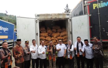 Pasca Bencana: 1.200 Ton Komoditas Pertanian dari PT Rumah Tani Nusantara Cabang Takengon Dikirim ke Pasar Nasional